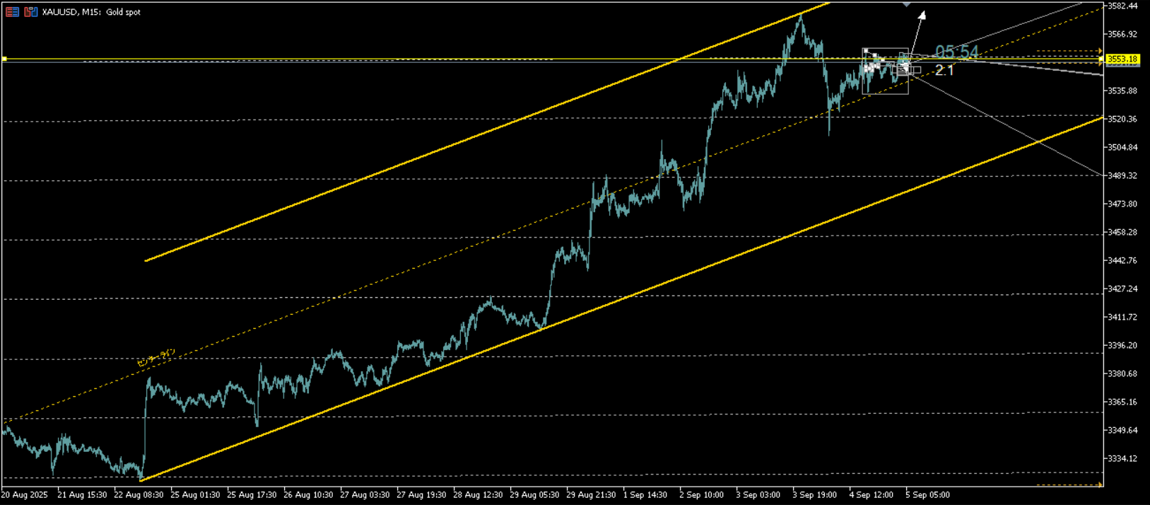 【門外不出】究極の分析効率化インジケーター『Arcane Channels』